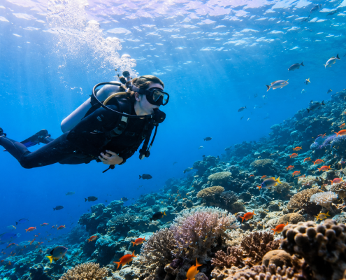 Plongeur débutant découvrant les fonds marins avec poissons colorés et eau turquoise