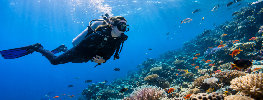 Plongeur débutant découvrant les fonds marins avec poissons colorés et eau turquoise