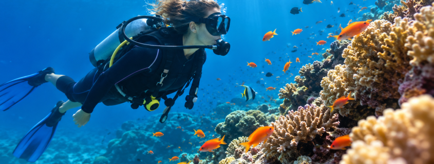 Plongeuse sous-marine explorant un récif corallien avec des poissons tropicaux